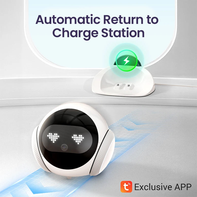 Blinky Bot™ Echo