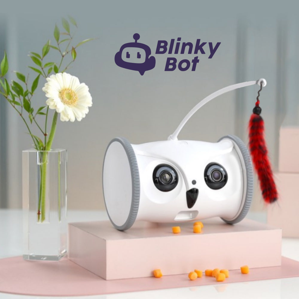 Blinky Bot™ Oracle