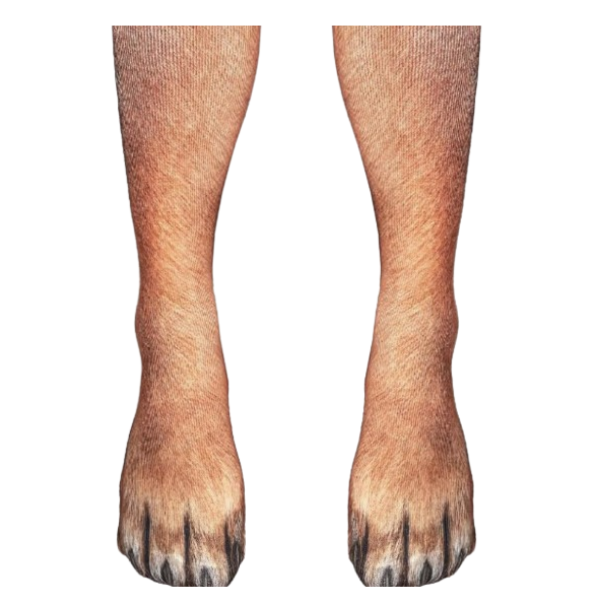 Blinky Bot™ Original Dog Paw Socks