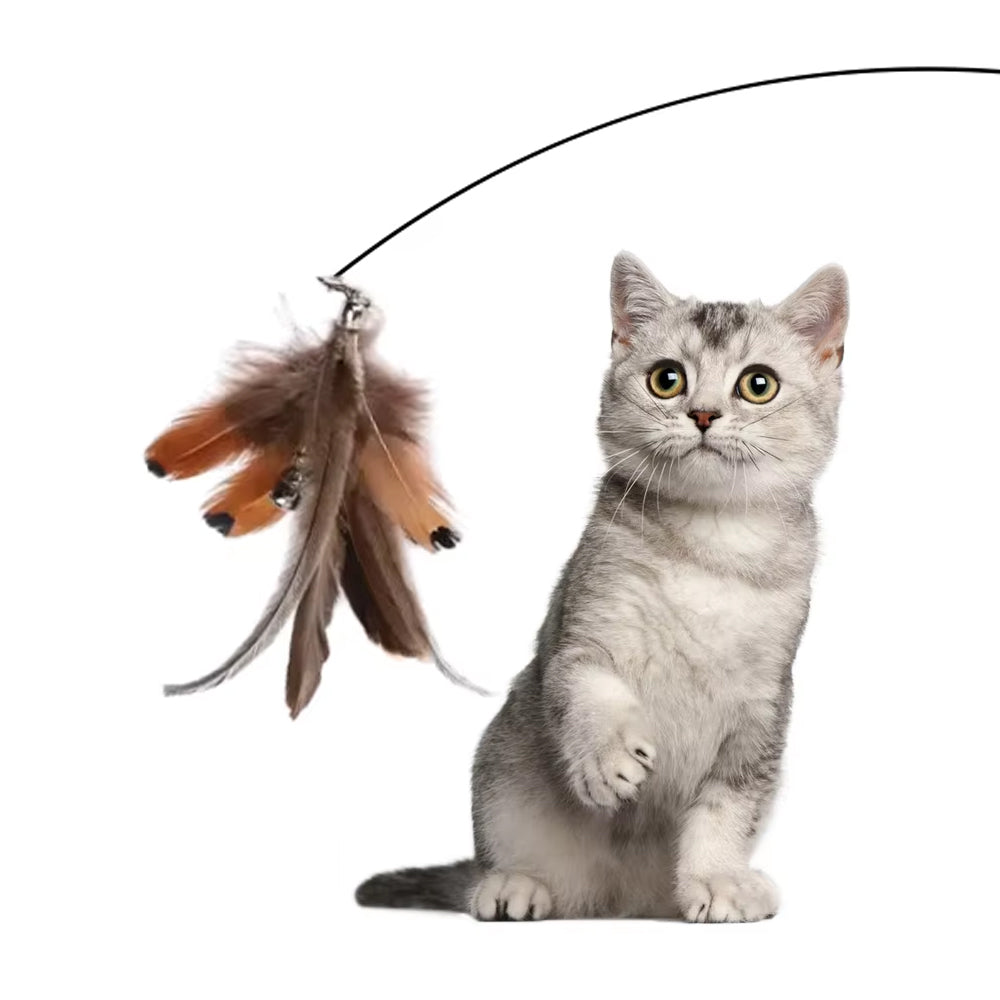 FREE Pet Teaser Stick