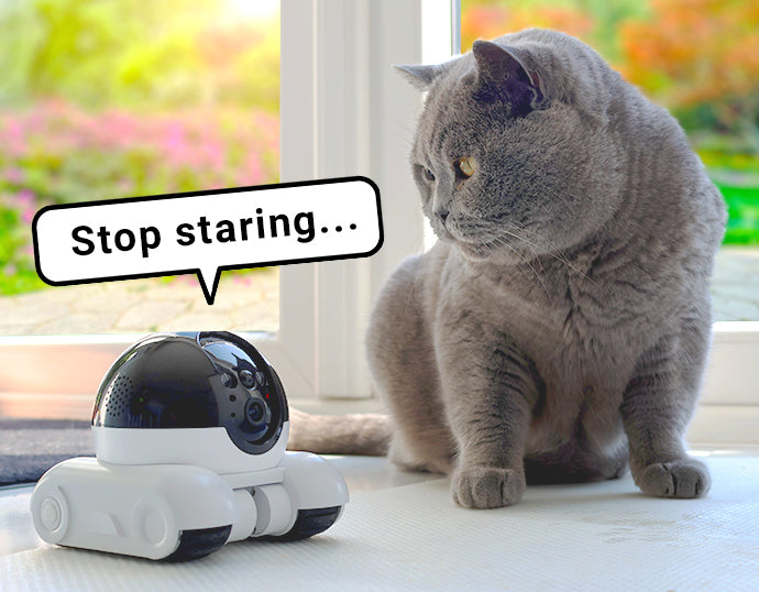 Blinky Bot - Mini Home Security Monitor