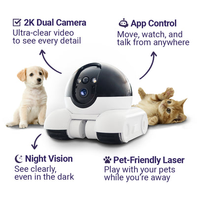 Pet monitoring device with features highlighted on a white background