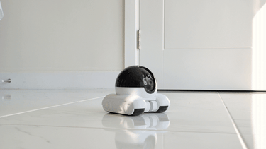 Blinky Bot - Mini Home Security Monitor