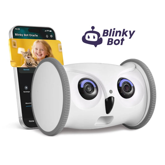 Blinky Bot - Mini Home Security Monitor