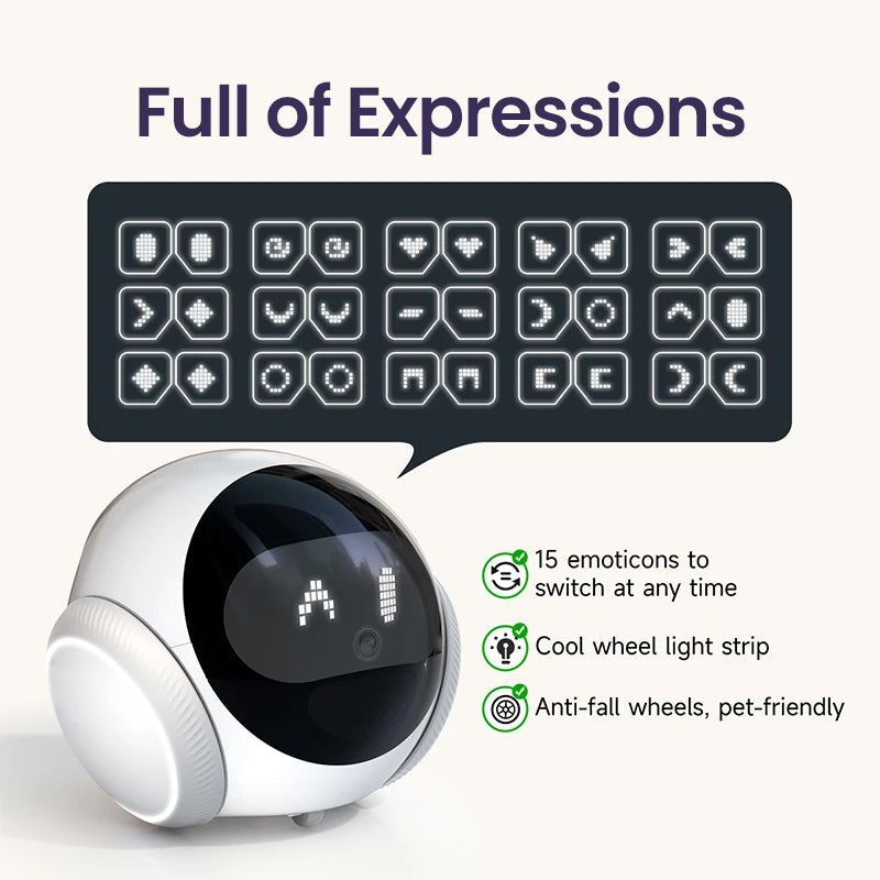 Blinky Bot™ Echo
