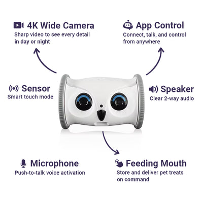 Blinky Bot™ Oracle