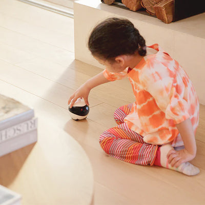 Blinky Bot™ Expert